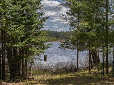 Cranberry Lake Acreage For Sale in Eagle  River Wisconsin