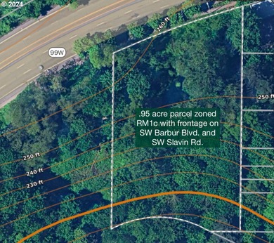 Willamette River - Multnomah County Lot For Sale in Portland Oregon