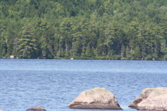 Upper Sysladobsis Lake Acreage For Sale in Lakeville Maine