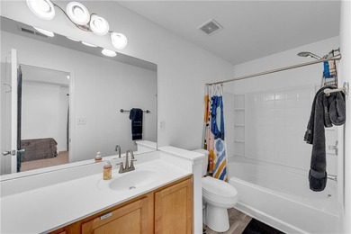 DON'T LET 2 KITTENS OUT THEY ARE INDOOR CATS Unreal pricing for