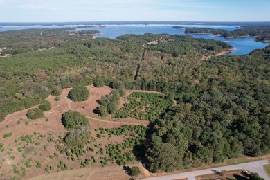 Lake Hartwell Commercial For Sale in Hartwell Georgia