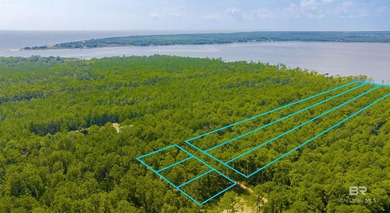 Rarely does an opportunity like this surface on Alabama's Gulf - photo 3