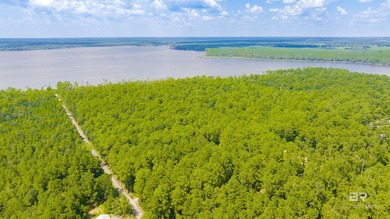 Rarely does an opportunity like this surface on Alabama's Gulf - photo 8