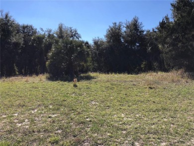 Lake Griffin Lot For Sale in Leesburg Florida