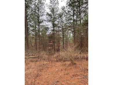 Broken Bow Lake Lot For Sale in Broken Bow Oklahoma