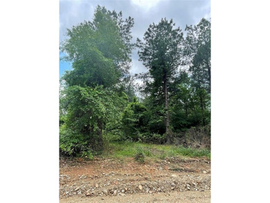 Broken Bow Lake Lot For Sale in Broken Bow Oklahoma