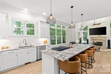 Welcome to 3030 Ashford Glen Drive, a beautifully renovated - photo 18
