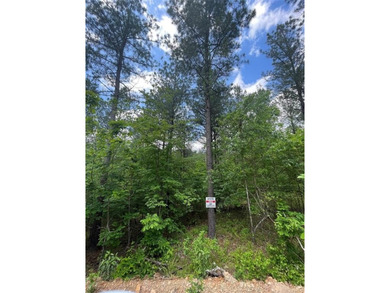 Broken Bow Lake Lot For Sale in Broken Bow Oklahoma