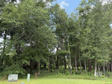 Discover one of the few remaining homesites in Reunion Pointe - photo 2