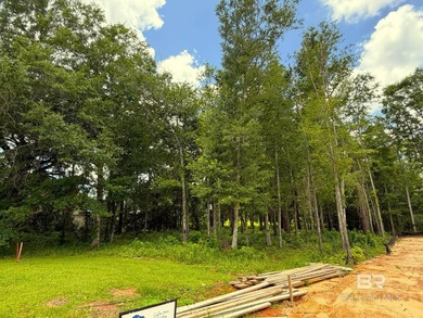 Discover one of the few remaining homesites in Reunion Pointe - photo 3