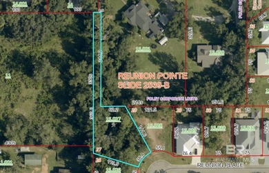 Discover one of the few remaining homesites in Reunion Pointe - photo 4