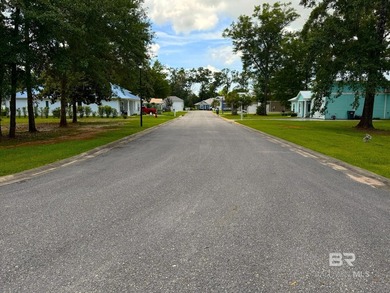 Discover one of the few remaining homesites in Reunion Pointe - photo 5