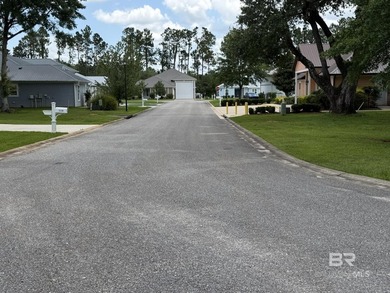 Discover one of the few remaining homesites in Reunion Pointe - photo 6