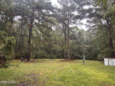 Partially cleared 1-acre lot ready for your vision! Whether - photo 1
