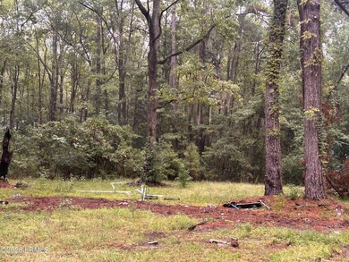 Partially cleared 1-acre lot ready for your vision! Whether - photo 2