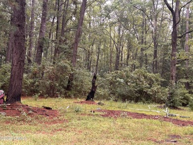 Partially cleared 1-acre lot ready for your vision! Whether - photo 3