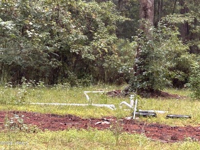 Partially cleared 1-acre lot ready for your vision! Whether - photo 4