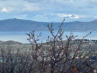 Enjoy protected PANORAMIC views of BEAR LAKE from this - photo 5