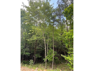 Broken Bow Lake Lot For Sale in Broken Bow Oklahoma