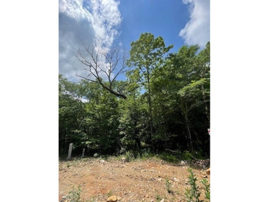 Broken Bow Lake Lot For Sale in Broken Bow Oklahoma