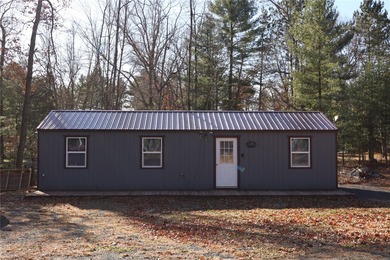 Rock Dam Lake Home For Sale in Willard Wisconsin