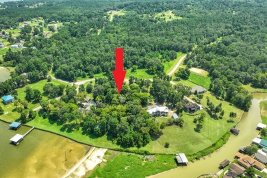 2 Acres Waterfront - photo 7