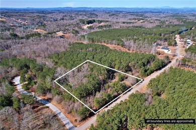 This nearly three-acre, level interior lake lot offers the - photo 3