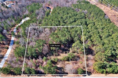 This nearly three-acre, level interior lake lot offers the - photo 4