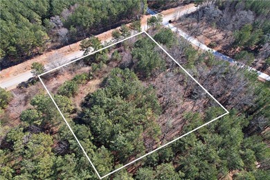 This nearly three-acre, level interior lake lot offers the - photo 5