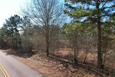This nearly three-acre, level interior lake lot offers the - photo 6