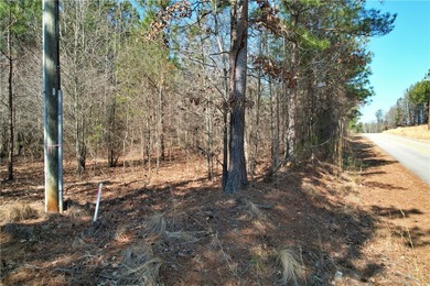 This nearly three-acre, level interior lake lot offers the - photo 7
