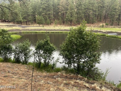 (private lake, pond, creek) Home For Sale in Greer Arizona