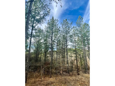 Broken Bow Lake Lot For Sale in Broken Bow Oklahoma