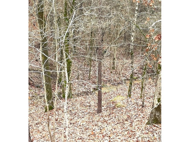 Broken Bow Lake Lot For Sale in Broken Bow Oklahoma