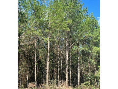 Broken Bow Lake Lot For Sale in Broken Bow Oklahoma