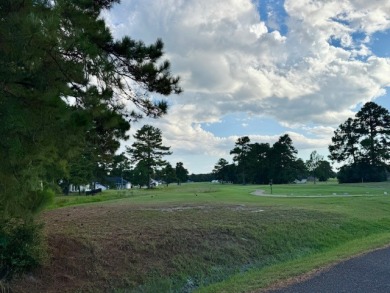 Welcome to 20 Shallow Springs - photo 26
