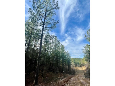 Broken Bow Lake Lot For Sale in Broken Bow Oklahoma