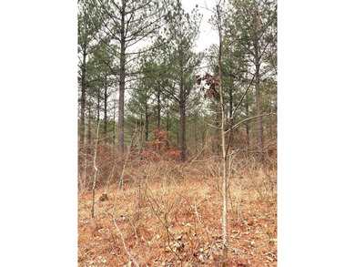 Broken Bow Lake Lot For Sale in Broken Bow Oklahoma