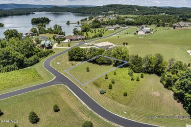LAKEVIEW Spectacular Building Lote & build your dream home on - Lake Lot For Sale in Rockwood, Tennessee