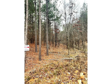 Broken Bow Lake Lot For Sale in Broken Bow Oklahoma