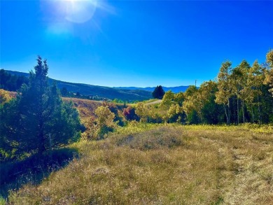  Lot For Sale in Virginia City Montana