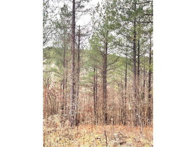 Broken Bow Lake Lot For Sale in Broken Bow Oklahoma