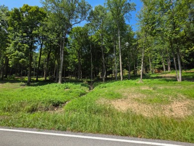 CLOSE to Cave Creek Campground, Hiking Trails and Boat Ramp - Lake Lot For Sale in Falls Of Rough, Kentucky