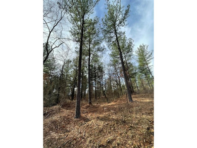 Broken Bow Lake Lot For Sale in Broken Bow Oklahoma