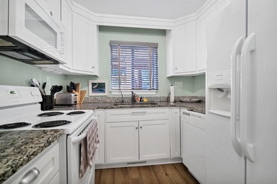Beautifully remodeled & freshly updated 2 Bedroom, 2 Bath Villa - photo 15
