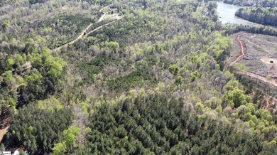 Do not miss this opportunity to own approximately 35 acres on - photo 3