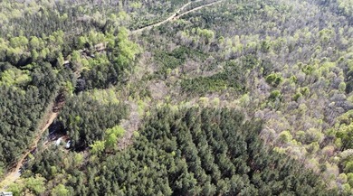 Do not miss this opportunity to own approximately 35 acres on - photo 4