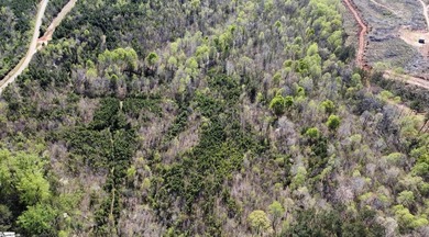 Do not miss this opportunity to own approximately 35 acres on - photo 5