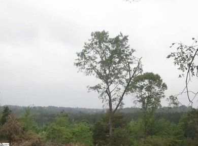 Do not miss this opportunity to own approximately 35 acres on - photo 6