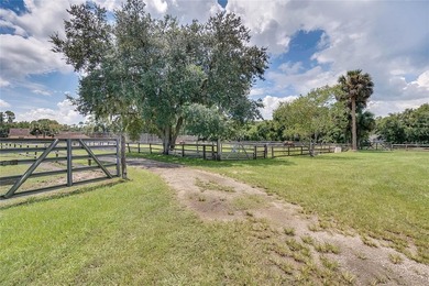 Under contract-accepting backup offers. Bring Your Horse - photo 44